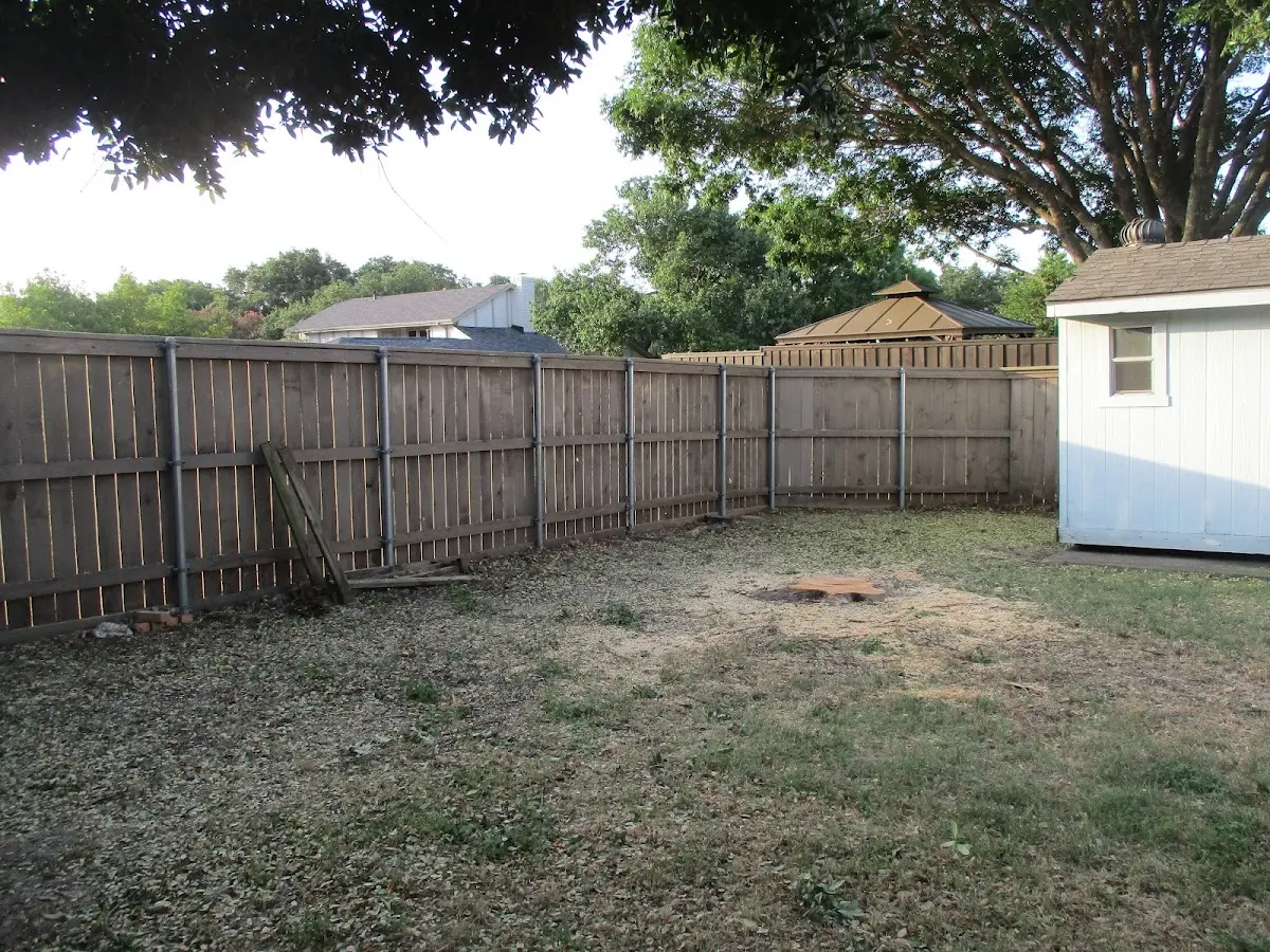 Cleared yard after professional tree removal in Dallastown