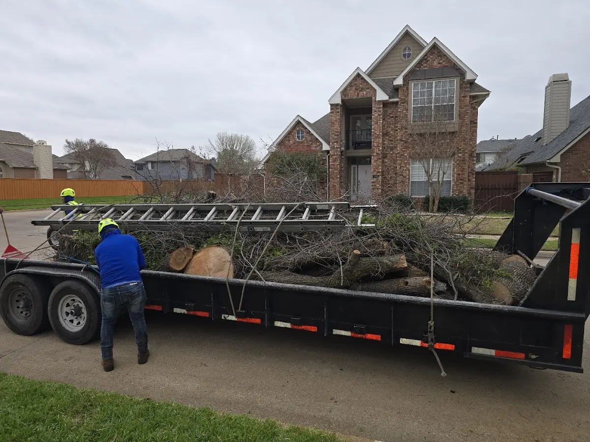 Expert Tree Removal with proper safety equipment in Dallastown